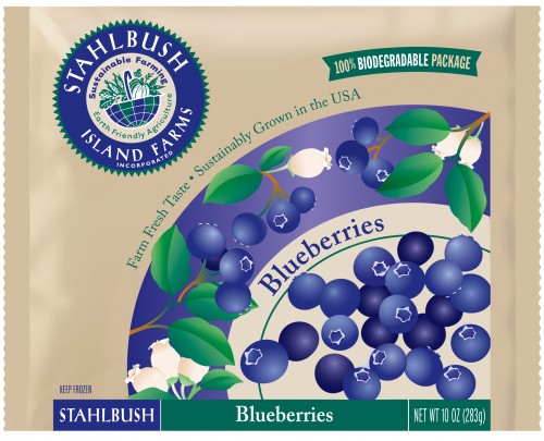 Blueberries in biodegradable bag