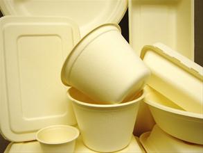 biodegradable-compostable-food-service-packaging-products-88448_image