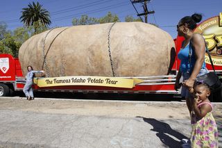 potato-truck
