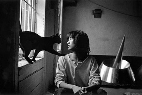 Maya Lin sharing a quiet moment with her cat in her New York studio