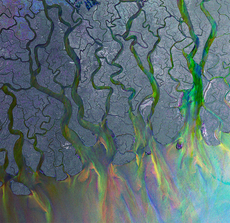 Ganges’ dazzling delta / July 31, 2009