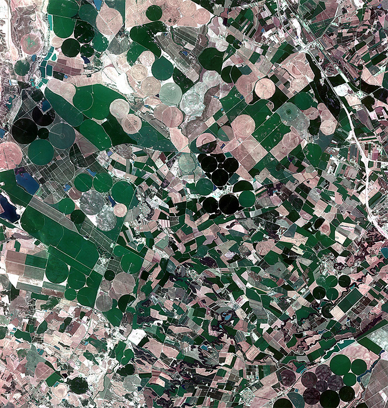 Agricultural crops in Aragon and Catalonia / November 26, 2010