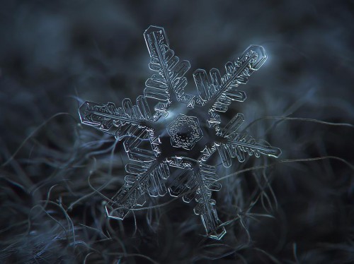 snowflake-closeup-diy-setup-alexey-kljatov-10
