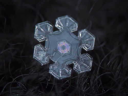 snowflake-closeup-diy-setup-alexey-kljatov-11