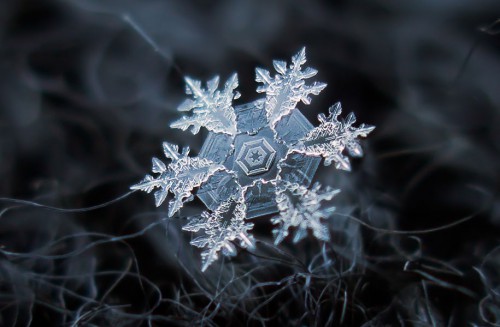 snowflake-closeup-diy-setup-alexey-kljatov-4