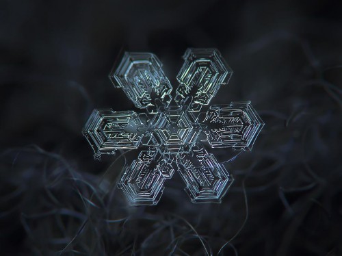 snowflake-closeup-diy-setup-alexey-kljatov-7