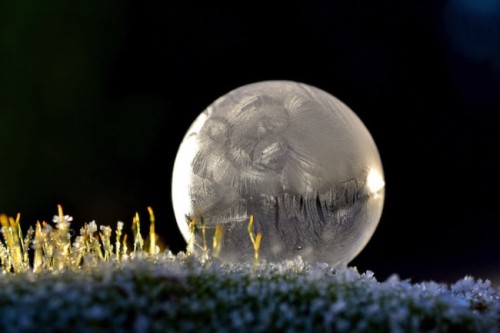 frozen-in-a-bubble-by-angela-kelly-4-650x433