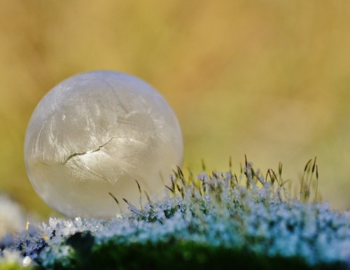frozen-in-a-bubble-by-angela-kelly-5-650x502