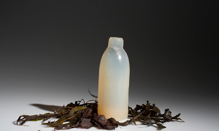 algae bottle