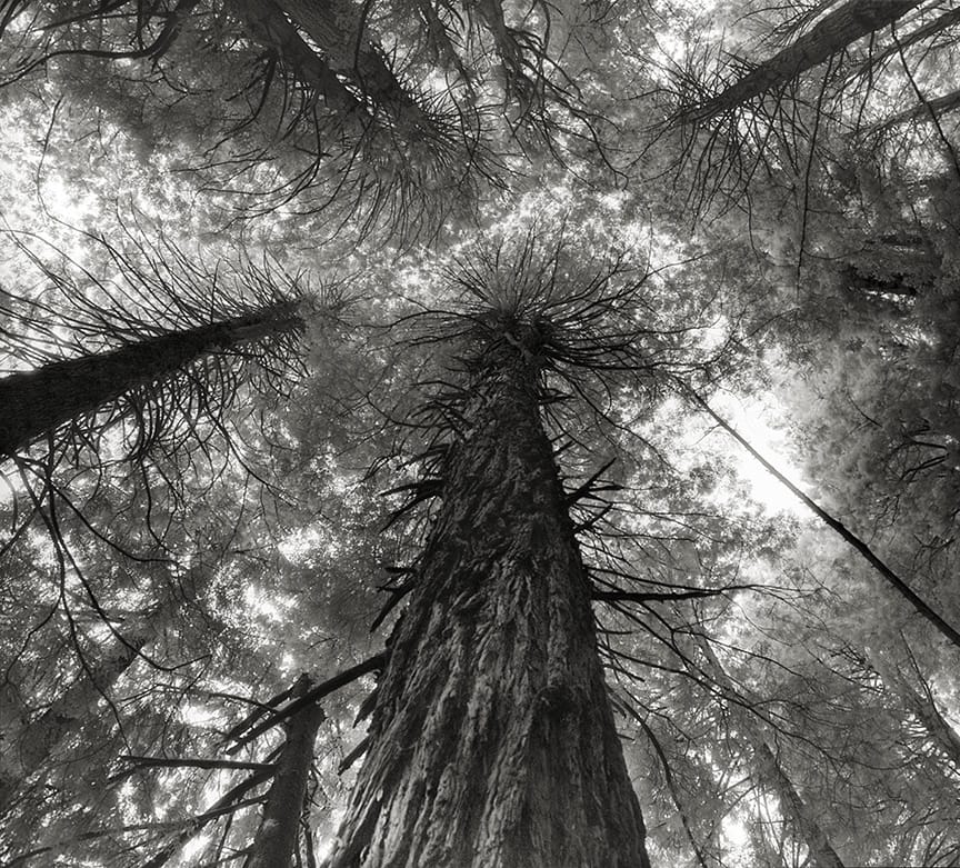 Beth Moon - KING’S CANYON